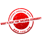 Financing SMEs and Entrepreneur in Tanzania 2024