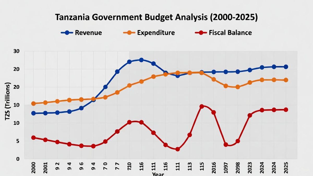 Can Tanzania Finance Its Development Independently