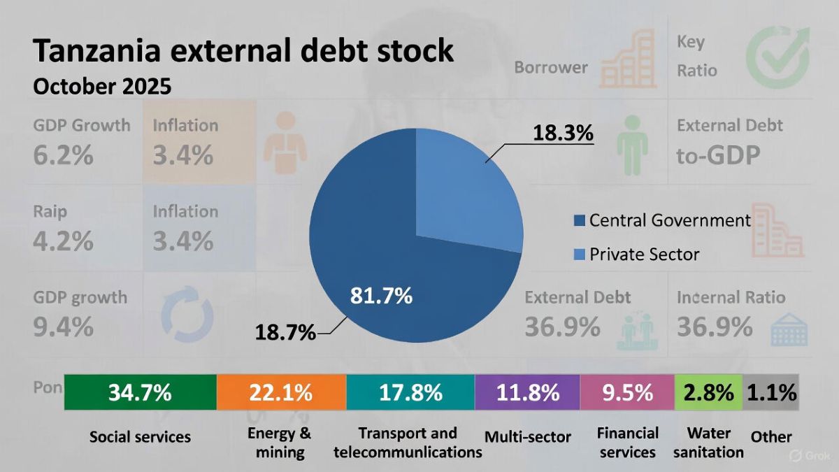 External Debt Stock by Borrower