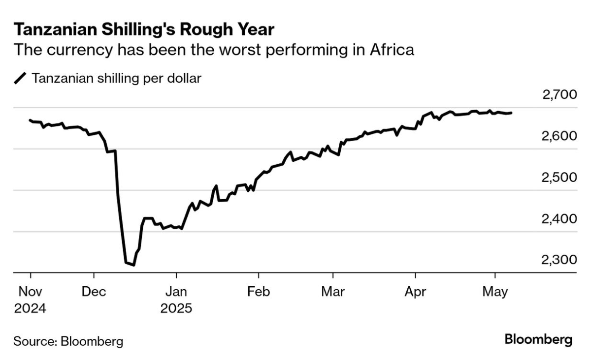 Shilling Stability in 2026 Amid Post-Election Turbulence