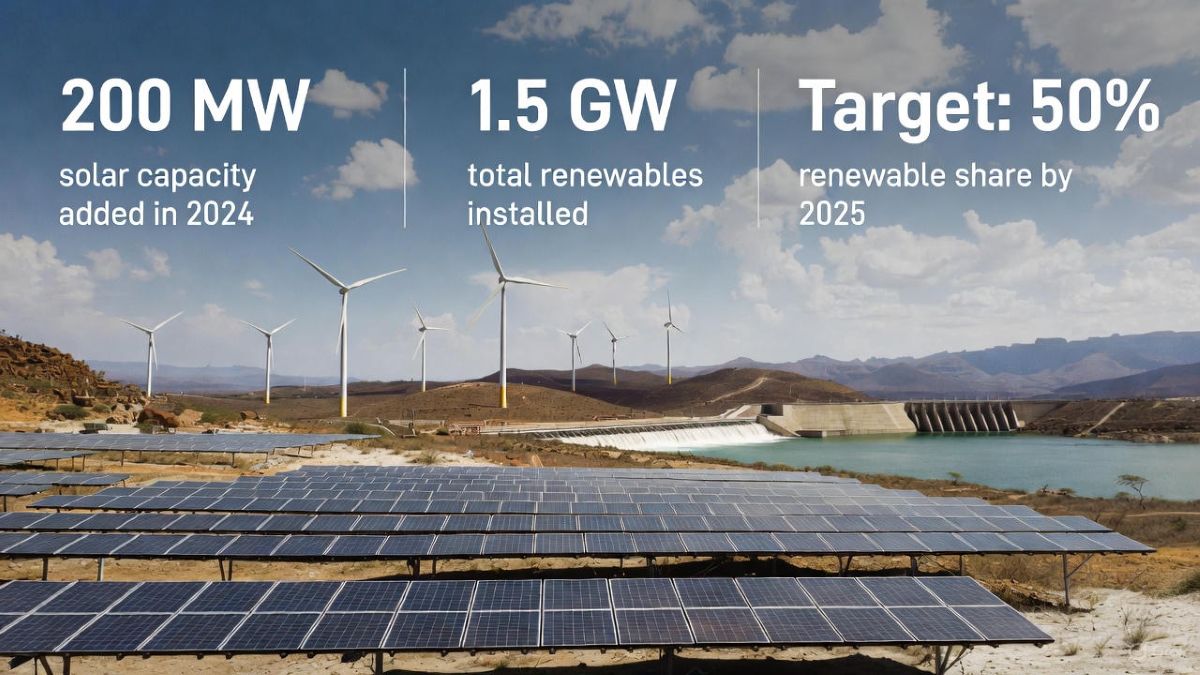 Tanzania's Renewable Energy Transformation